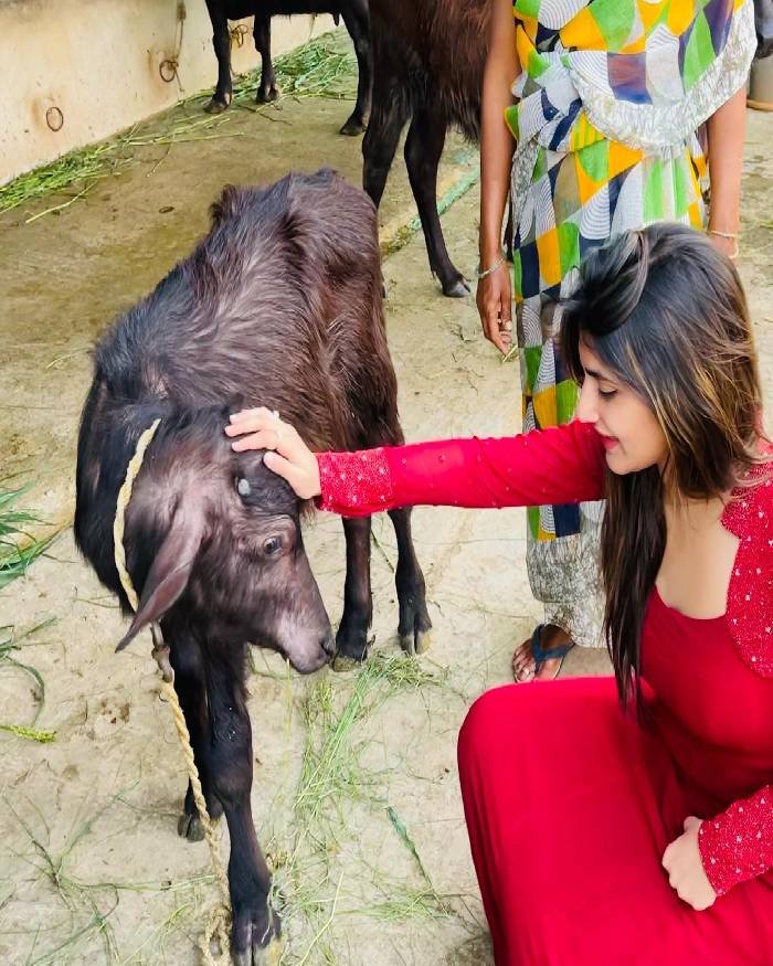 sreeleela_teluguuvox 11